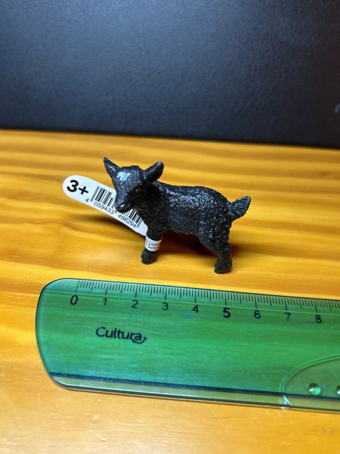 Chevreau - photo numéro 4