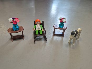 Playmobil fillettes et accessoires