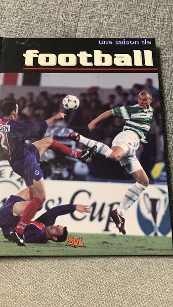 Championnat de France de football 1995-1996 Une saison de football