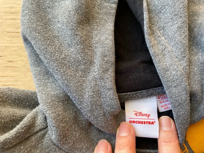 Sweat le roi lion 4 ans - photo numéro 3