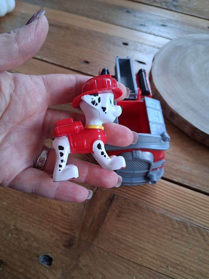 Marcus - photo numéro 8