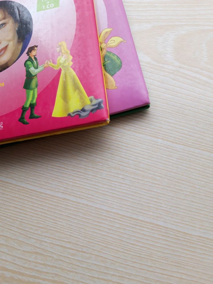 Lot de 2 livres les plus beaux contes du monde - photo numéro 6