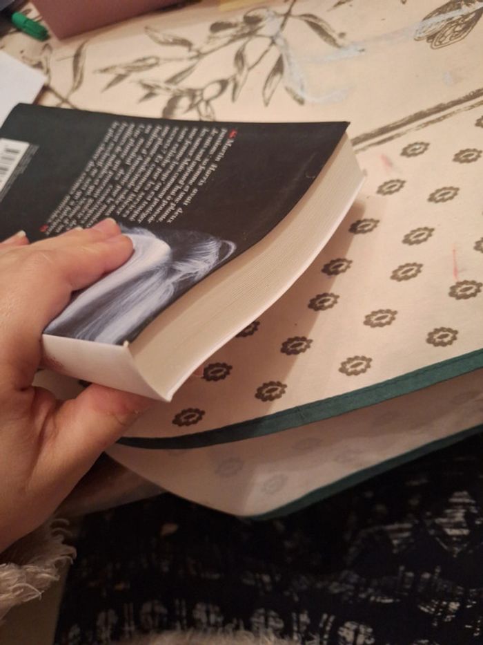 Double identité - photo numéro 5