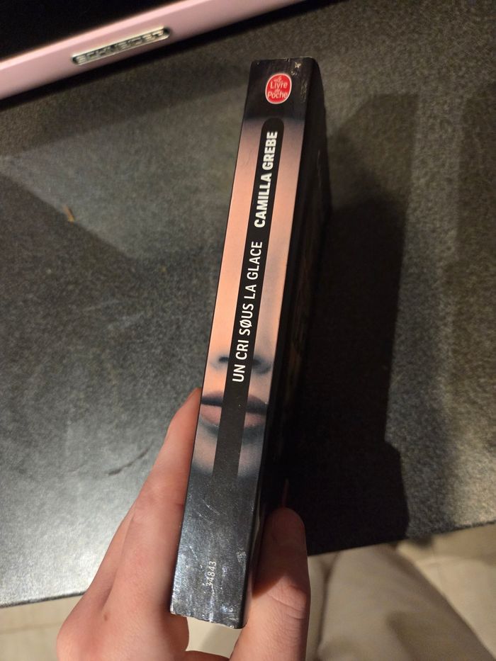 Roman un cri sous la glace - photo numéro 4