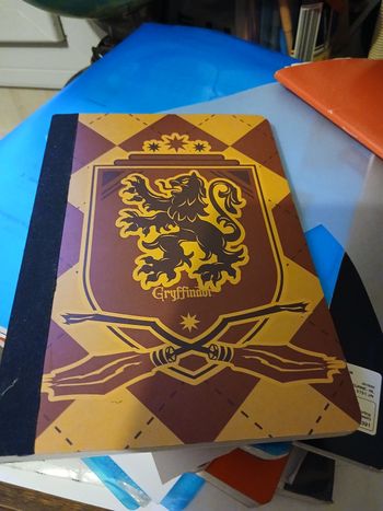 Cahier harry potter 20x15cm neuf 