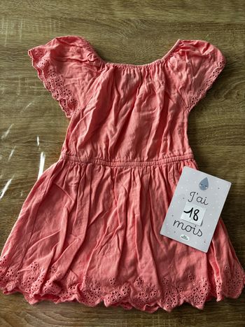 Rose rose broderie IN Extenso t.18m