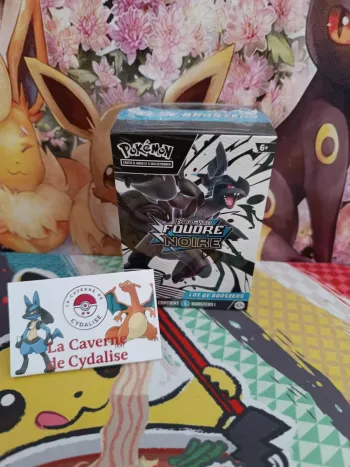 Bundle 6 Boosters EV10.5 Foudre Noire - FR