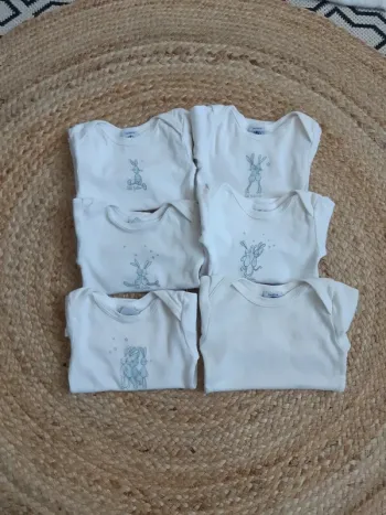 Lot de 6 bodies manches longues Petit Bateau