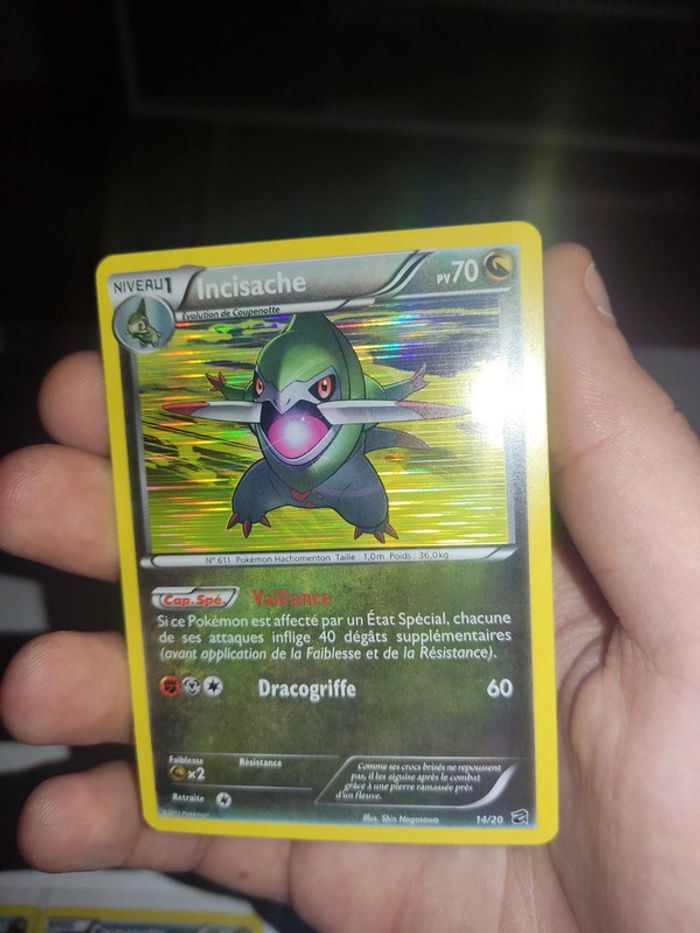 Lot carte Pokémon Holo coffre des dragons tranchodon coupenotte insicache - photo numéro 2