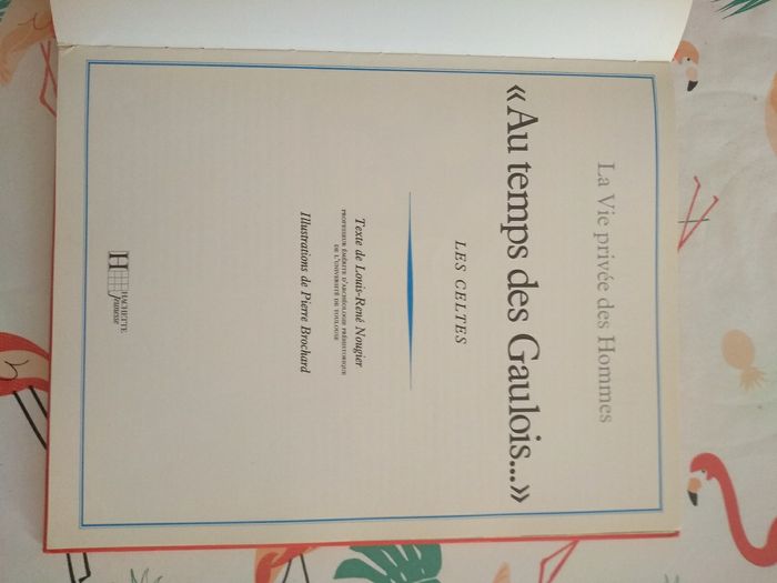Livre Au Temps des Gaulois - photo numéro 3