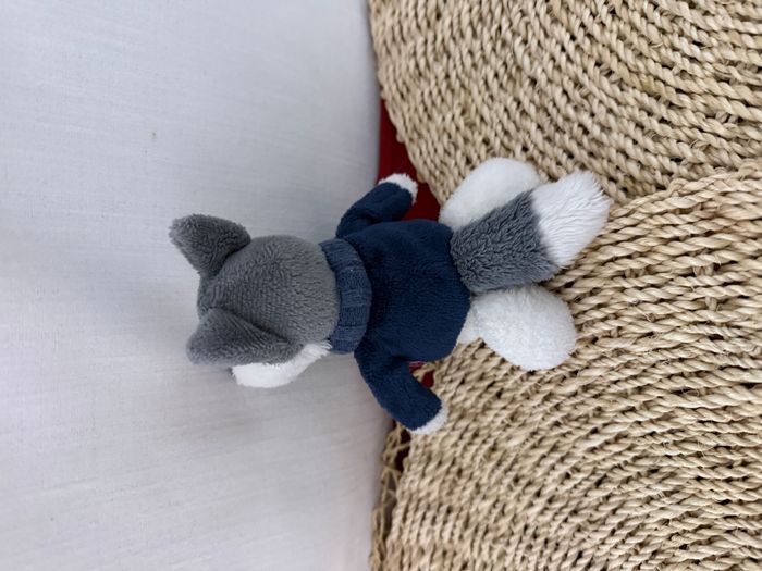 Nici Husky Jack, garçon en pull - photo numéro 2