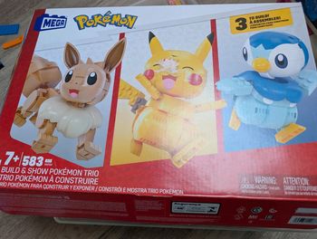 Pokemon megabloc