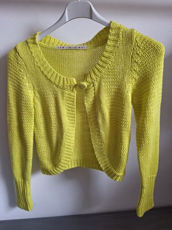 Gilet jaune