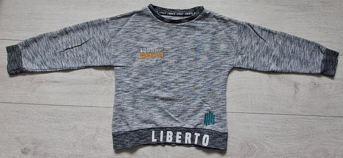 Sweats ou pulls garçons taille 6ans H&M - photo numéro 2