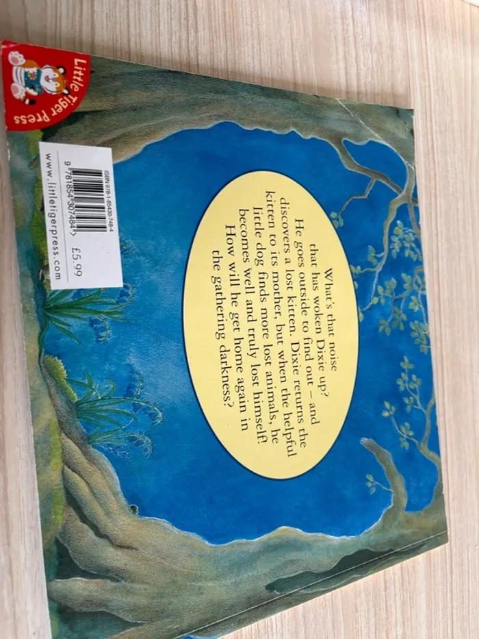 Lot de 5 livres pour enfants - Little Tiger Press en anglais - photo numéro 10