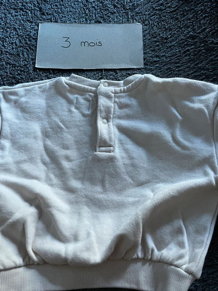 Pull fraises - photo numéro 3