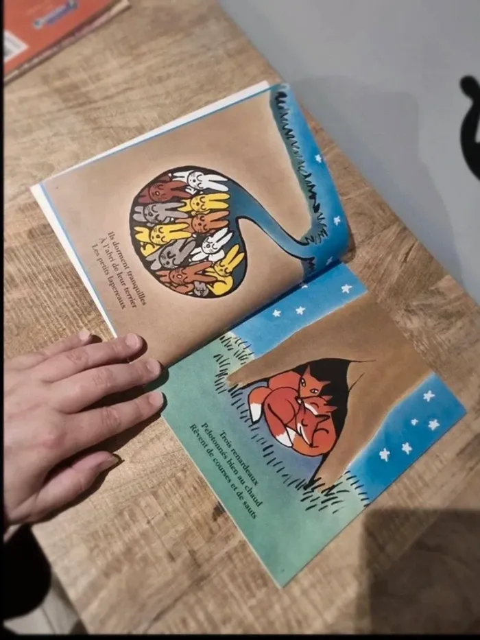 Livre enfant maxidodos kimiko école des max - photo numéro 3