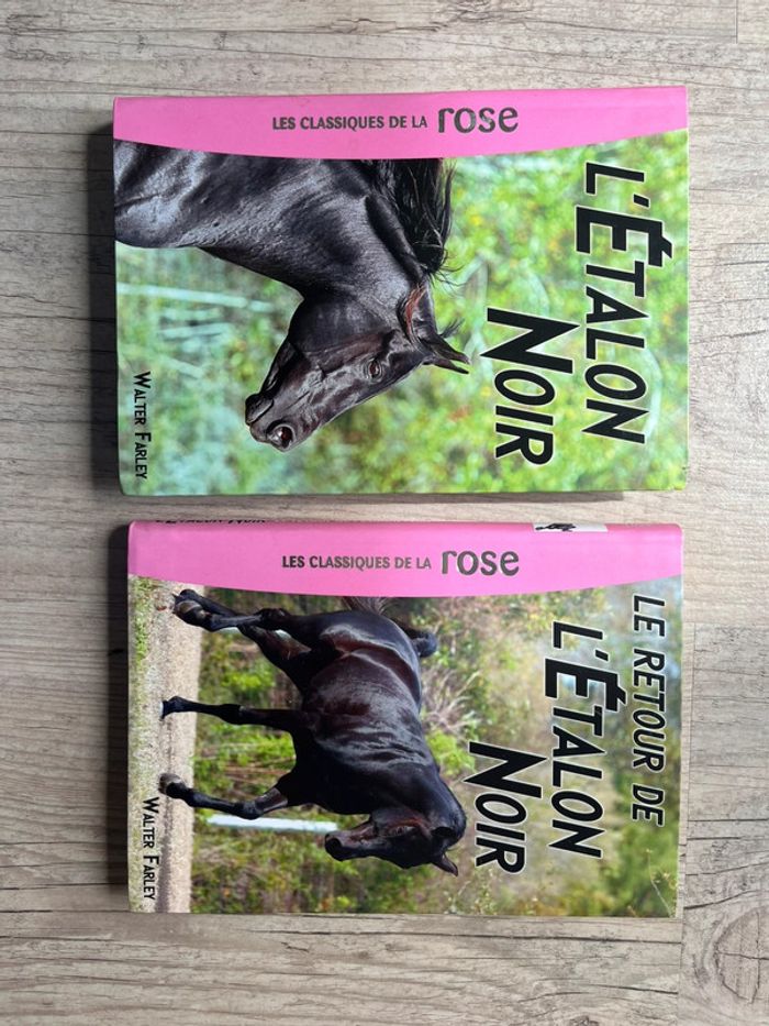 Lot de 2 tome de L’étalon noir