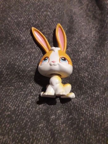 Petshop rabitt hasbro