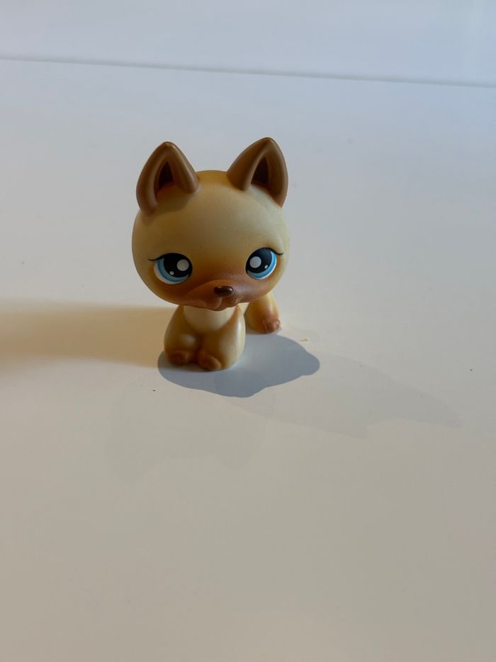 Jouer Pet Shop chien marron