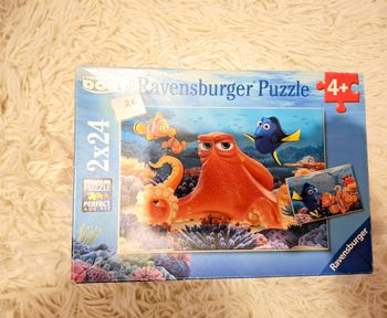 Puzzle Dory