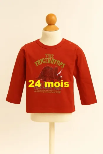 Tee shirt manche longue rouge motif dinosaure Kid Kanaï Taille 24 mois