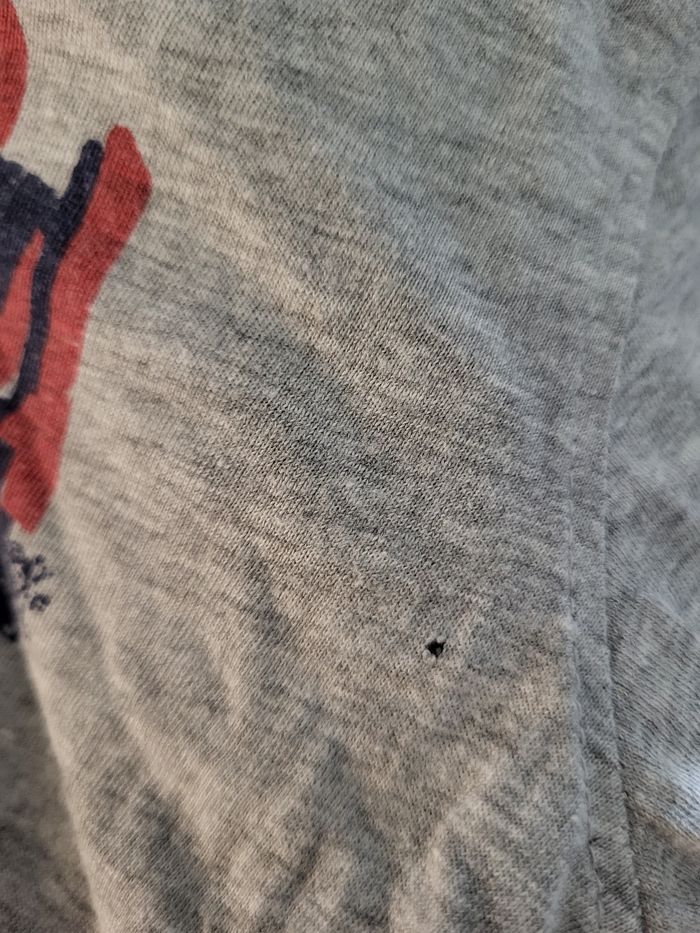 Tee-shirt gris In Extenso - photo numéro 2