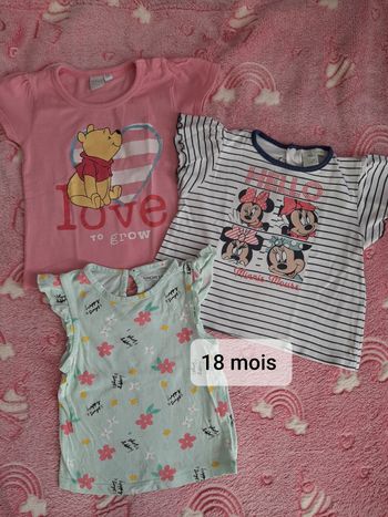 3 tee-shirts 18 mois