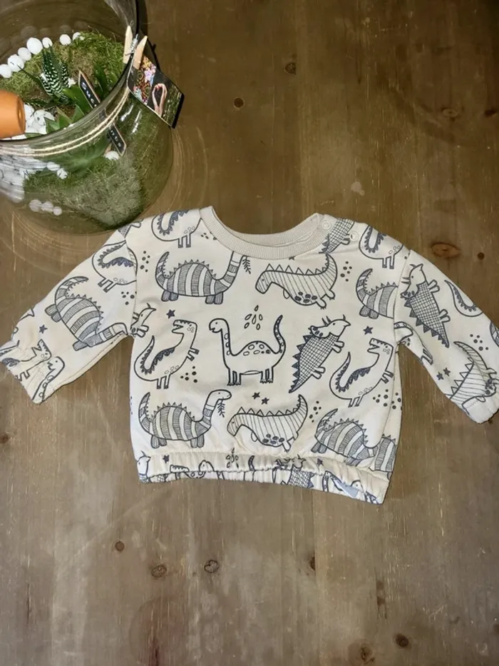 Pull dinosaure primark 6 mois
