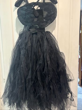 Robe de déguisement