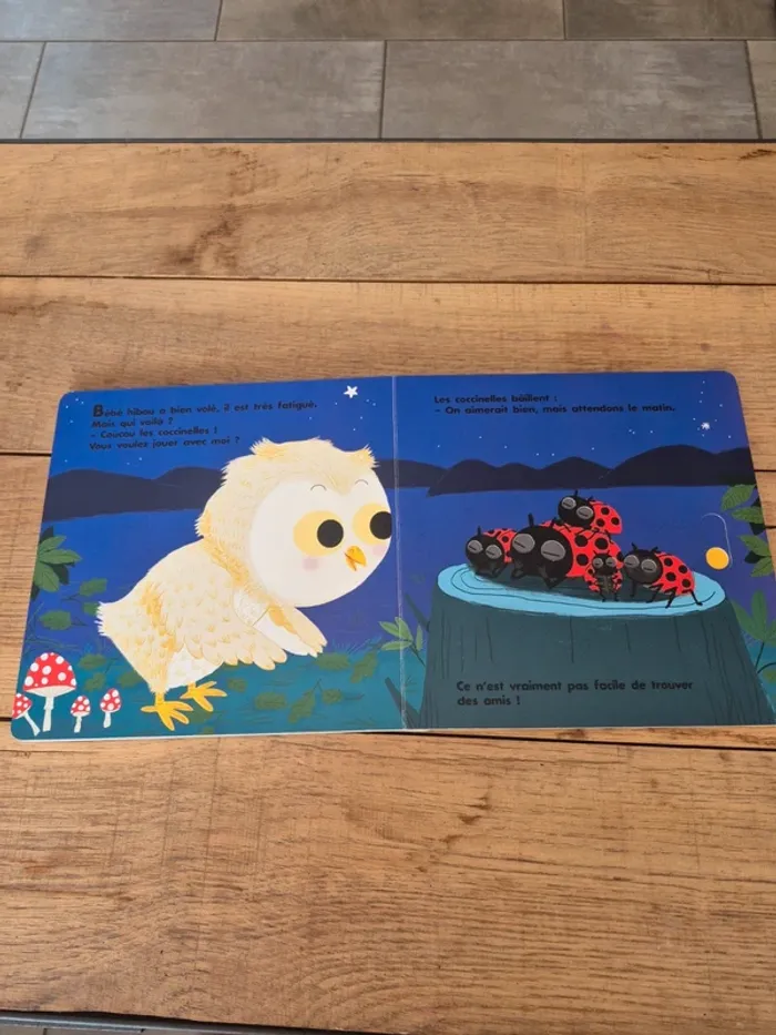 Livre “Au dodo bébé hibou n’a pas sommeil du tout”  Nathan - photo numéro 6