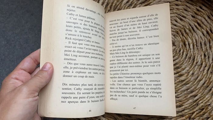 Le panda abandonné - photo numéro 3