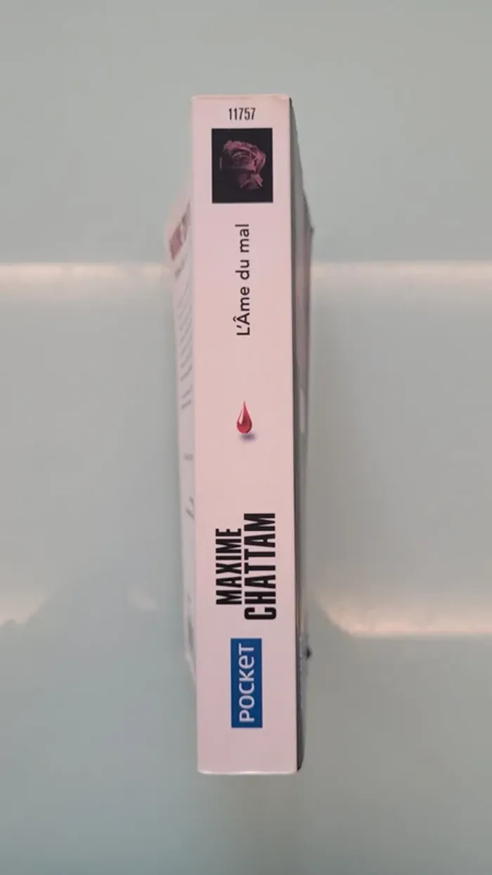 Livre "L'âme du mal" de Maxime Chattam - photo numéro 3
