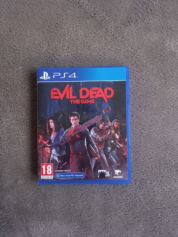 Evil dead the game