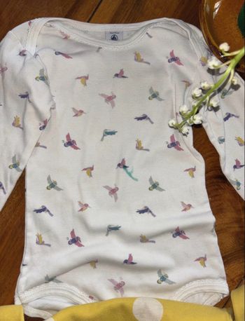 Lot bodies Petit Bateau 36 mois