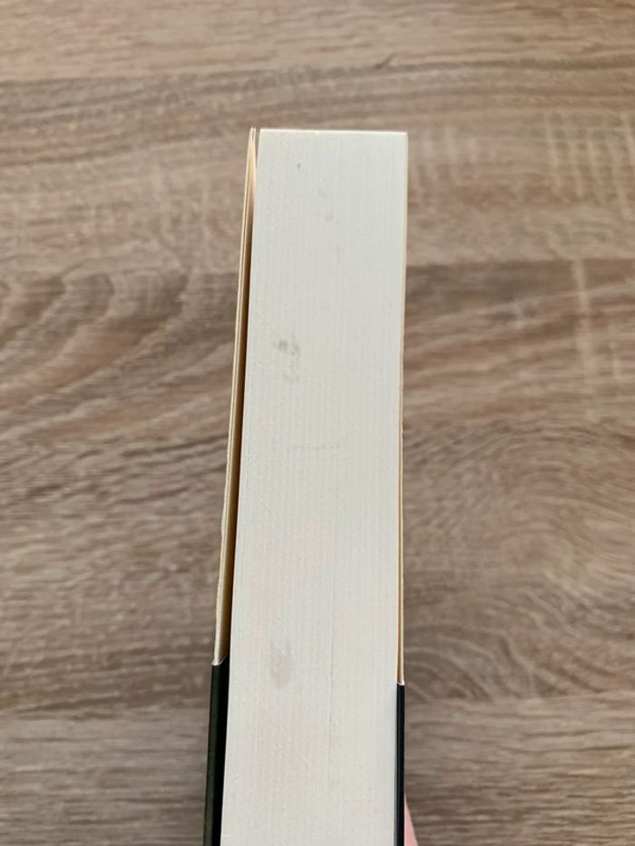 Ivoire - photo numéro 4