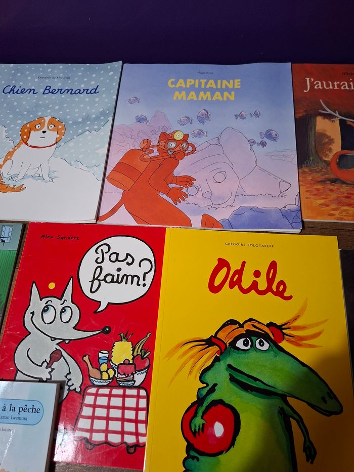 Lot de 12 albums livres l École des Loisirs - photo numéro 3