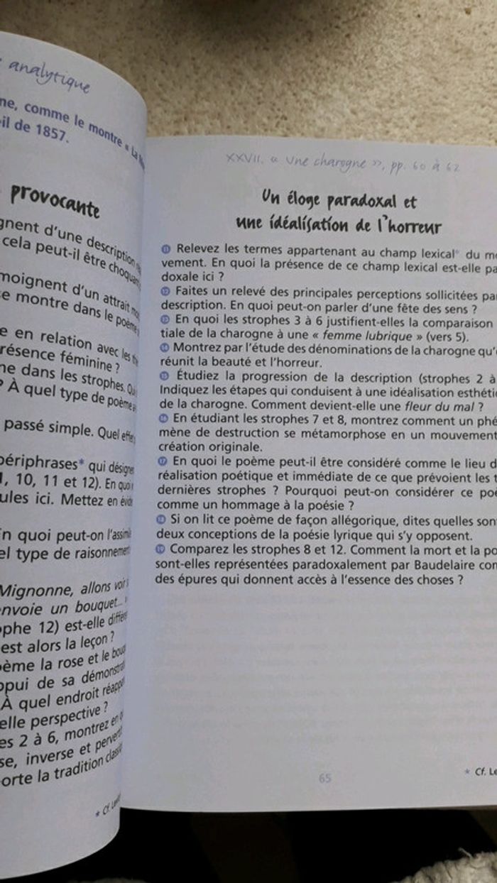 Les fleurs du mal - photo numéro 4