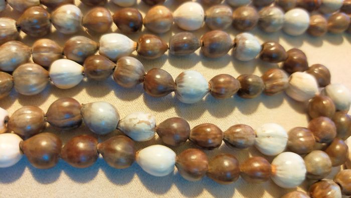 Collier long en graines naturelles – Tons bruns et crème - Collection Terres d’Ailleurs - photo numéro 9