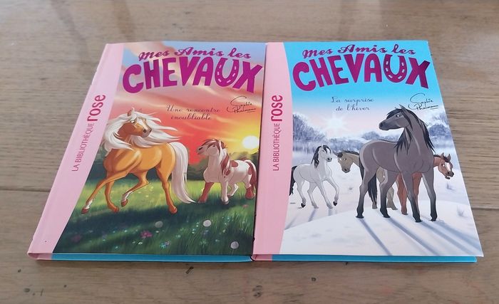 Lot de 2 livres mes amis les chevaux neuf