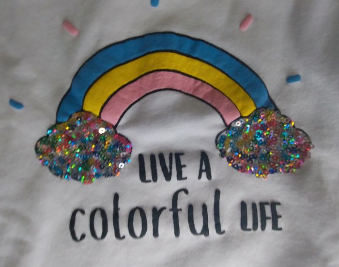 Sweat 2 en 1 - photo numéro 3