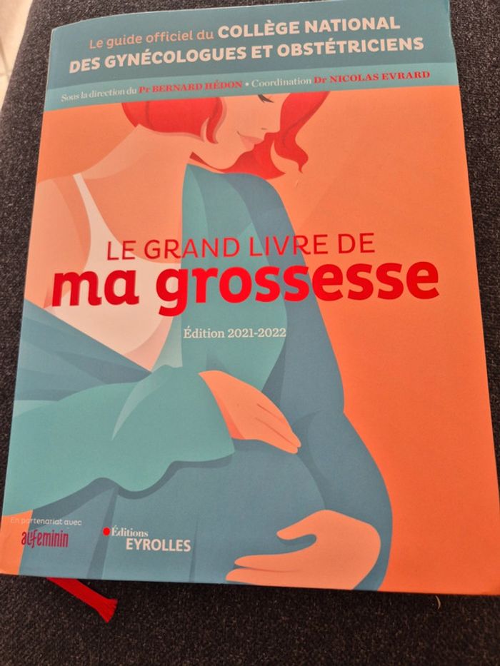 Le grand livre de ma grossesse