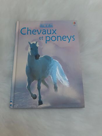 Chevaux et poneys