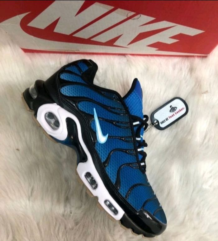 TN PLUSIEURS MODÈLES - photo numéro 7