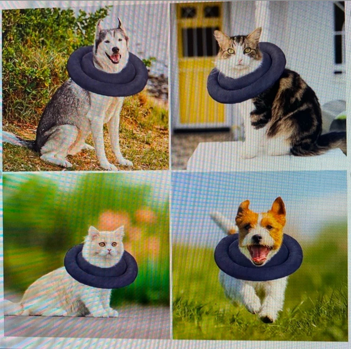 Collier de protection pour chien taille L - photo numéro 2