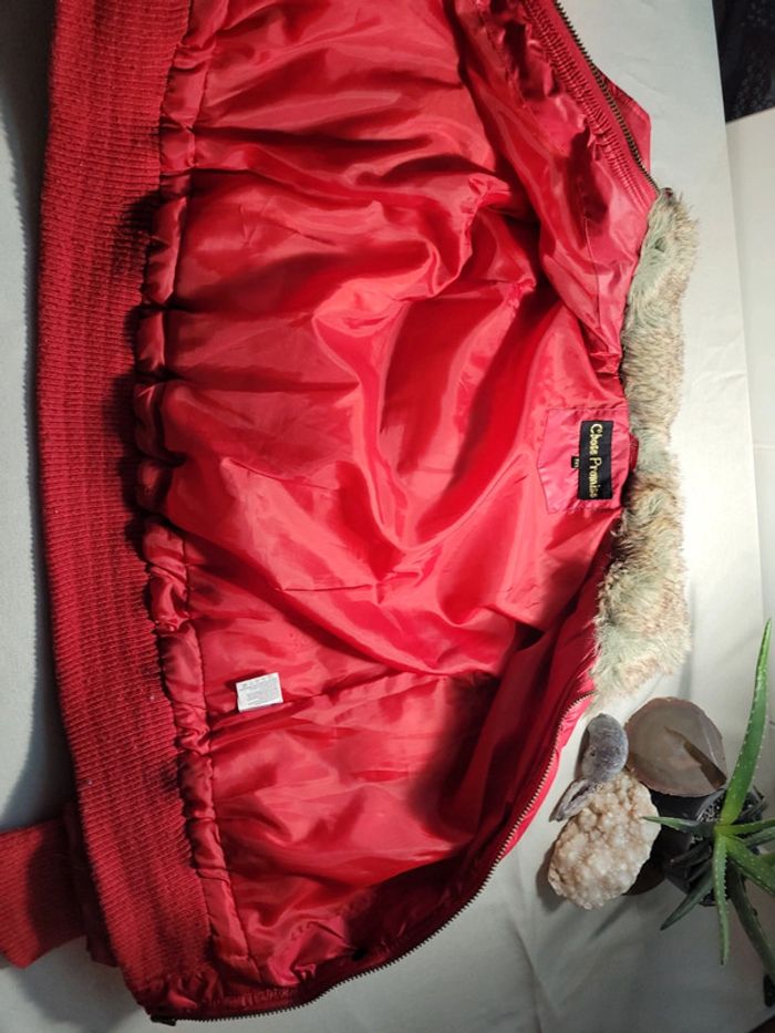 Grosse doudoune à capuche ou col fourrure - photo numéro 3