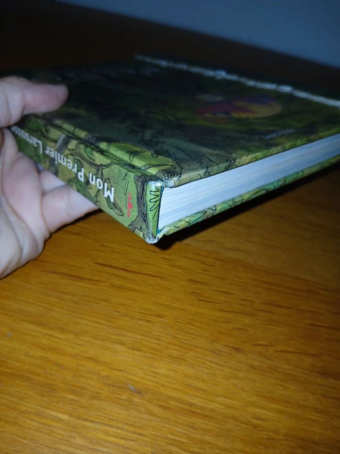 Mon premier larousse des contes - photo numéro 10