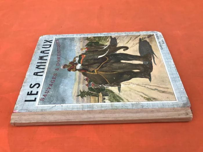 Les Animaux Sauvages et Domestiques (Mai 1929) Garnier Frères Paris - photo numéro 9