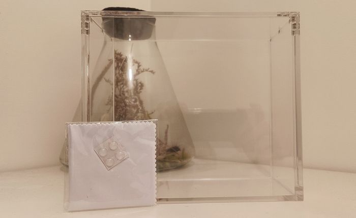 Lot de 3 Protections Acryliques pour ETB POKEMON - photo numéro 2