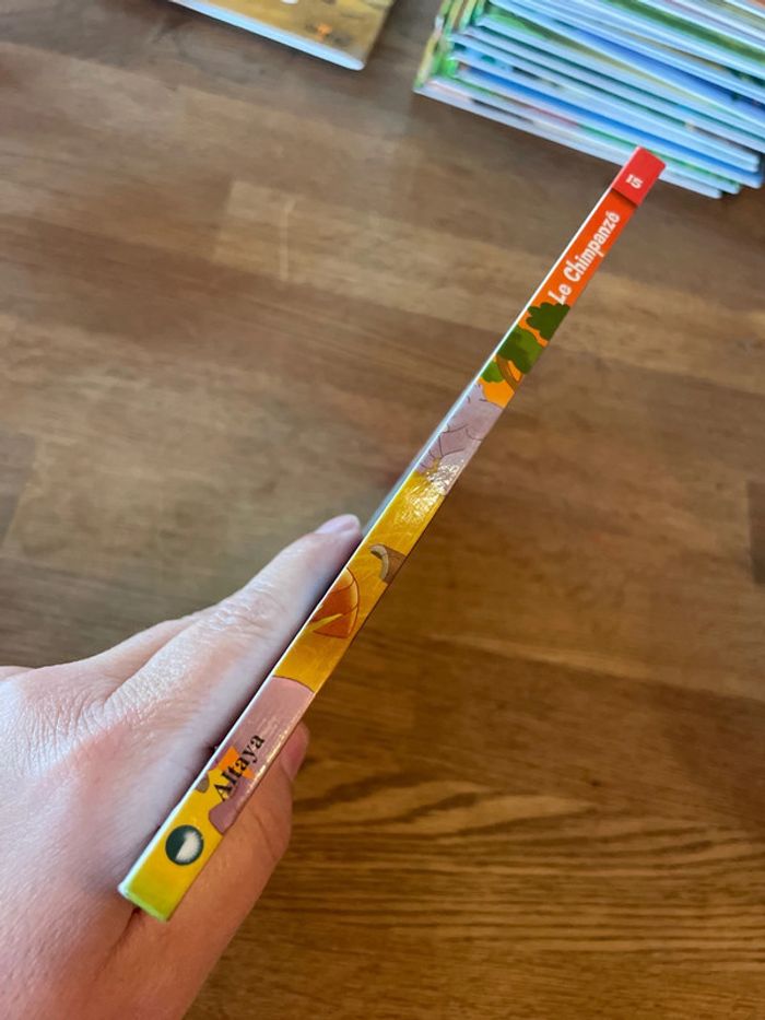 Livre Altaya Le monde des animaux Sauvages Animaux de la savane Le chimpanzé - photo numéro 2